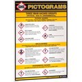 Top Tape And Label INCOM® GHS1010 GHS Information Pictogram Wall Chart, 24" x 36" GHS¬†1010.00